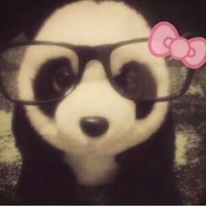 Meet your Posher, Roxana